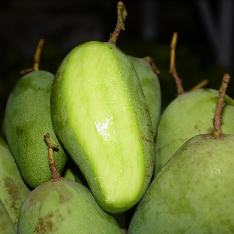 广西酸野生吃芒果孕妇芒果酸脆腌制青芒果新鲜水果芒果 生吃芒(1斤装)