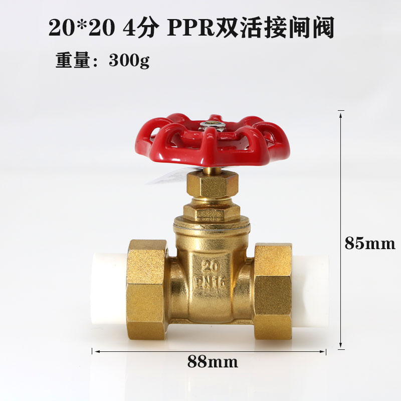 露玖熙ppr闸阀 4分6分自来水双活接铜闸阀dn15dn20dn25dn50 20*20(4分