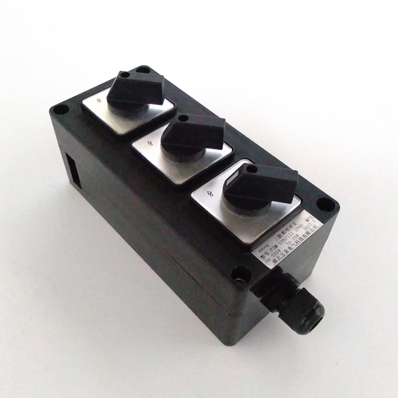 三防照明开关fzm-10a/220v单联单控双联三联密闭防水防腐旋钮盒 双联