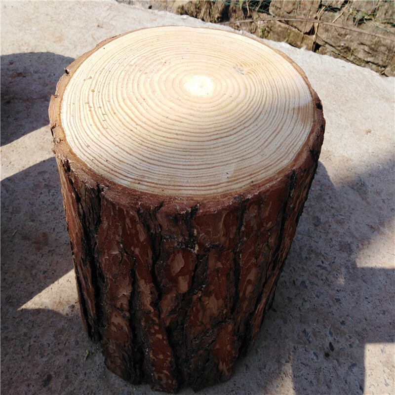 斯朴洛特天然根雕凳子松木墩子带皮树桩凳子实木木墩天然原木木桩大板底座 直径28-31cm高40cm