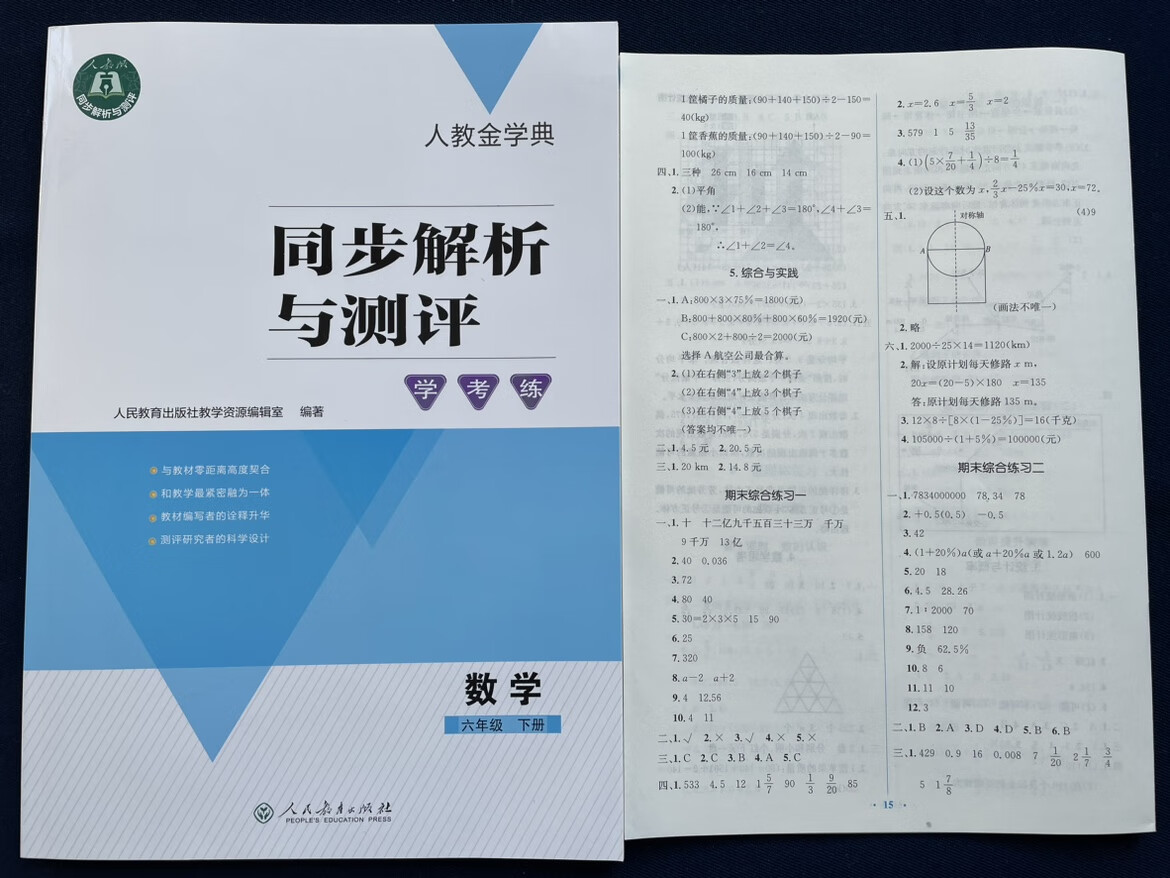 【正版】2023春小学同步解析与测评数学6/六年级下册人教版附答案