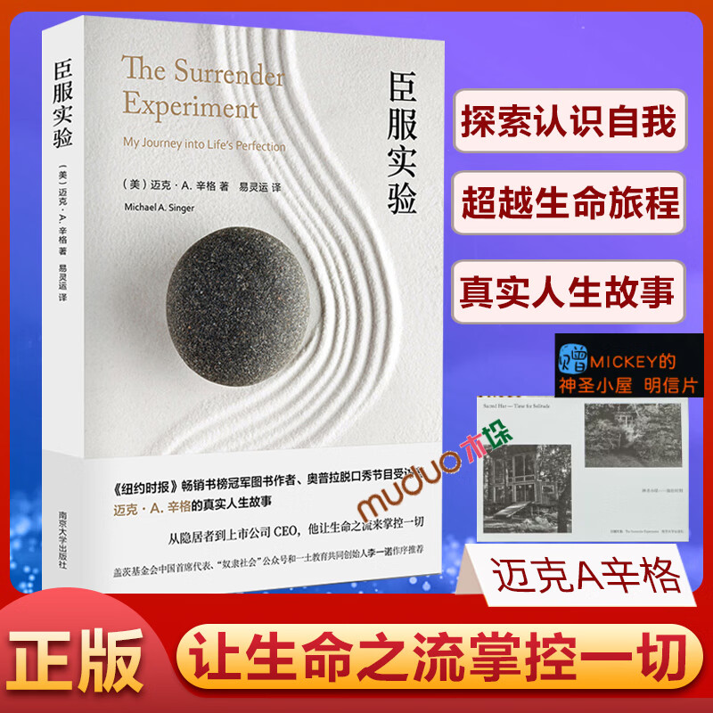 2022新版】臣服实验 迈克·A.辛格著 从隐居者到上市公司CEO的人生智慧解答人生困惑启发无数人的导师自述传