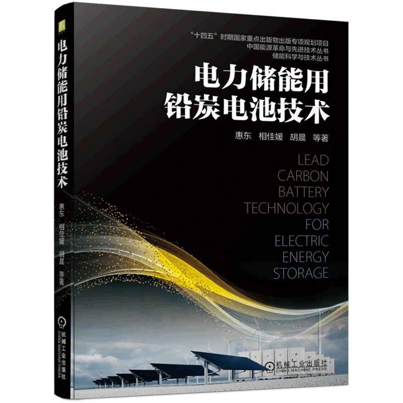 电力储能用铅炭电池技术/储能科学与技术丛书/中国能源革命与先进