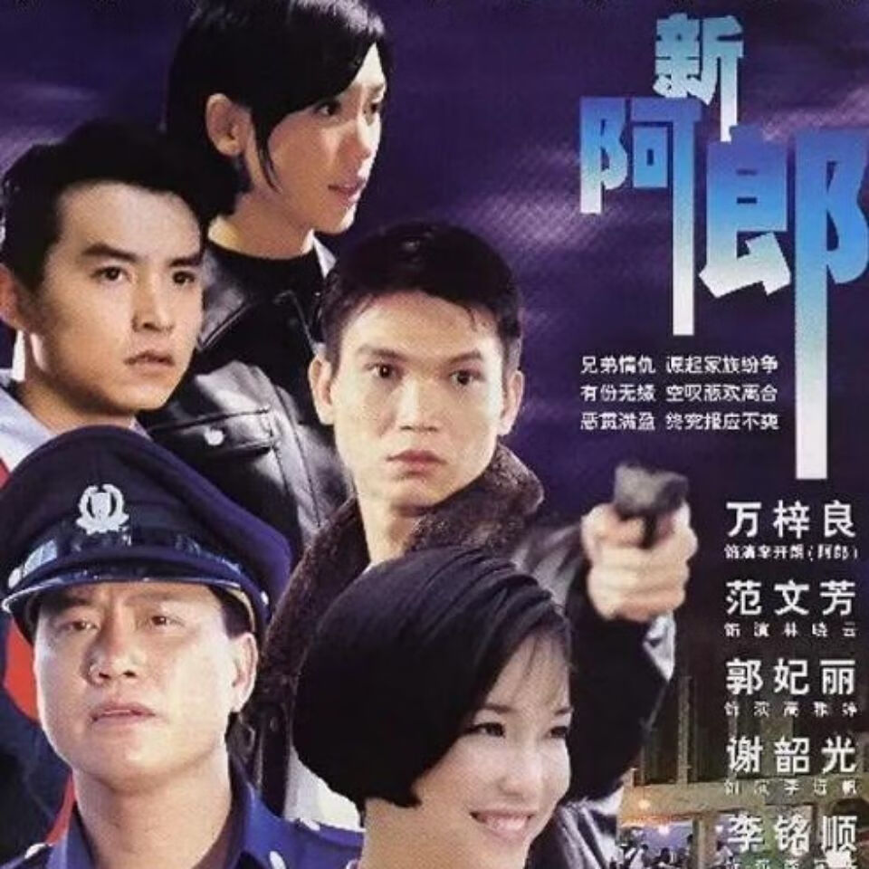 雅漫林高清优盘u盘一路风尘/新阿郎国语高清全集优盘发货收藏版优盘