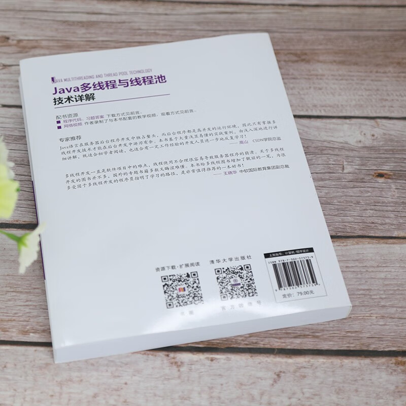 Java多线程与线程池技术详解/计算机科学与技术丛书