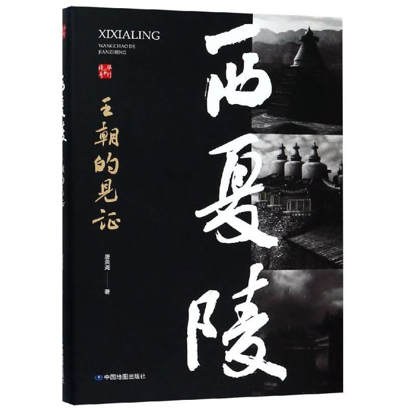 西夏陵:王朝的见证