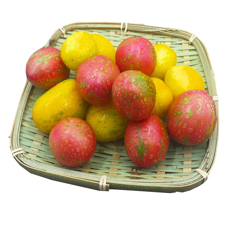 东北皮球柿子2kg 新鲜水果虎皮小番茄新开园春桃柿子花皮小西红柿