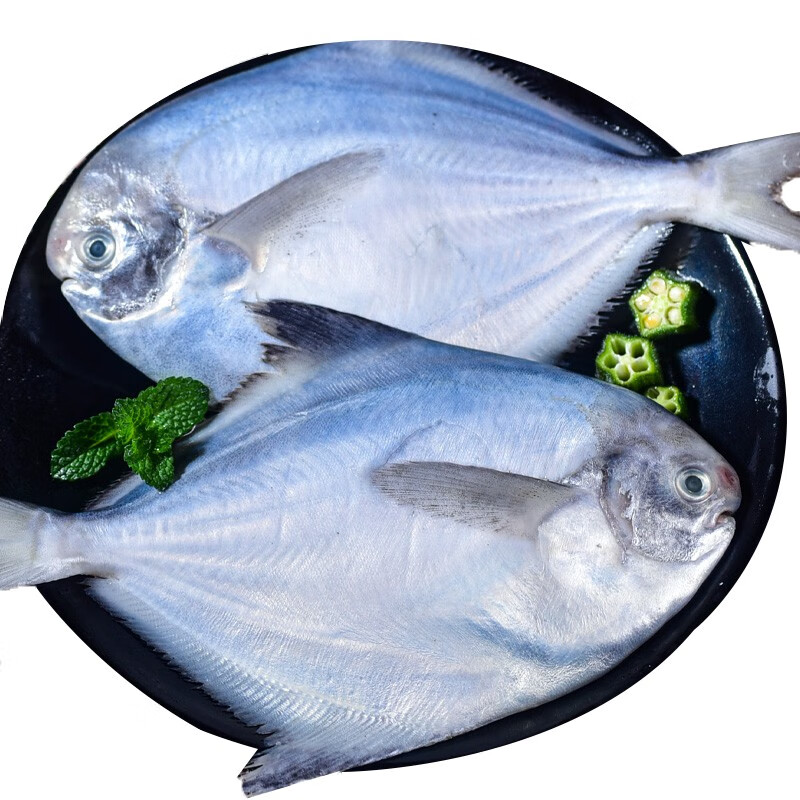 虾有虾途银鲳鱼白鲳鱼特大鲳鱼生鲜 鱼类新鲜冷冻银昌鱼海鱼平鱼海鲜批发 特大银鲳鱼【3斤】装每斤约3-4条