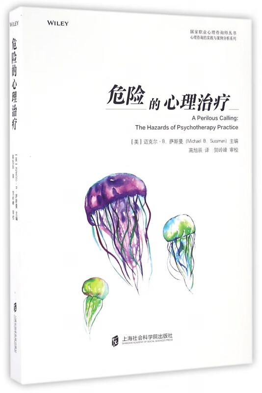 危险的心理治疗/心理咨询的实践与案例分析系列/国家职业心理咨询师丛书