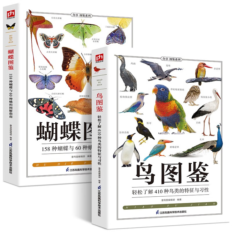 科普图鉴珍惜森林草原野鸟形态世界蝴蝶名录图鉴蝴蝶品种图鉴学生动物
