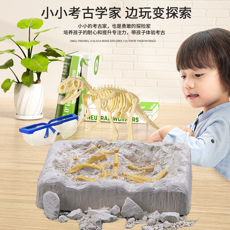 古欧恐龙化石考古挖掘玩具儿童拼装骨架使用体验怎么样？图文评测剖析真相？