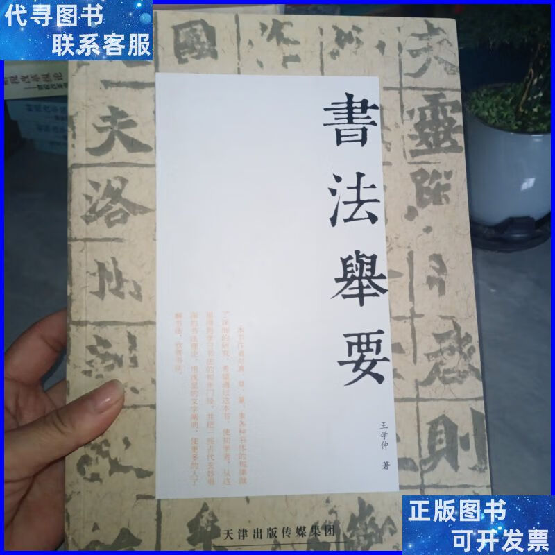 书法举要 天津人民美术出版社二手书