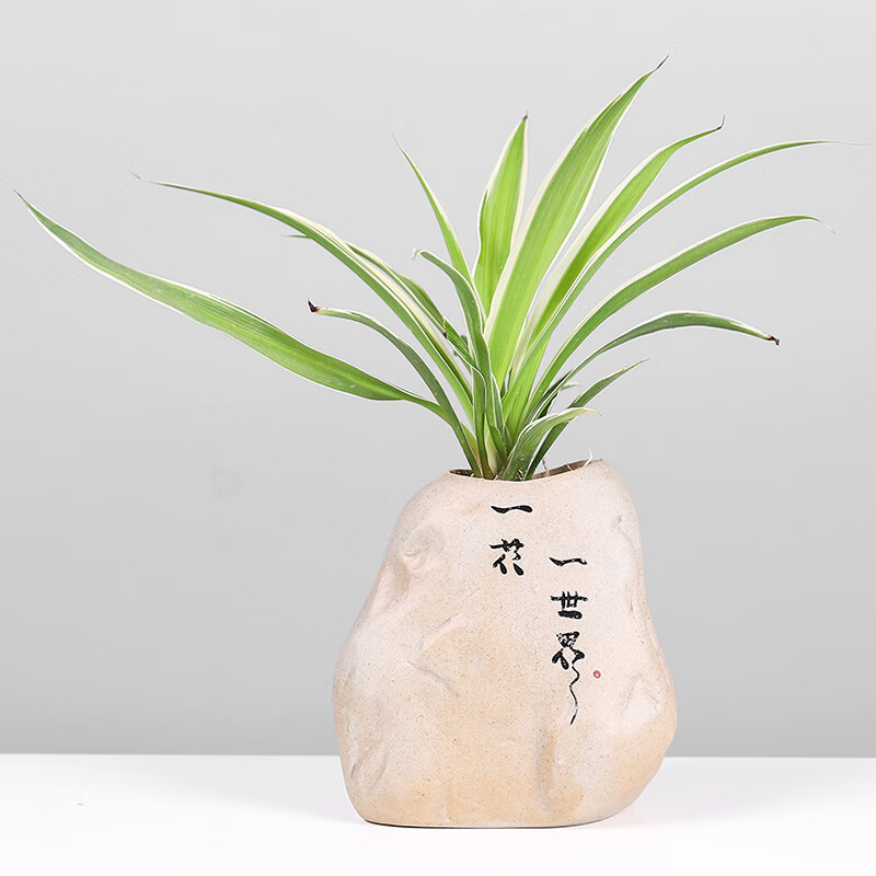 仿石头迷你小花瓶水培绿植器皿桌面居家装饰品摆件 一花一世界(中号)