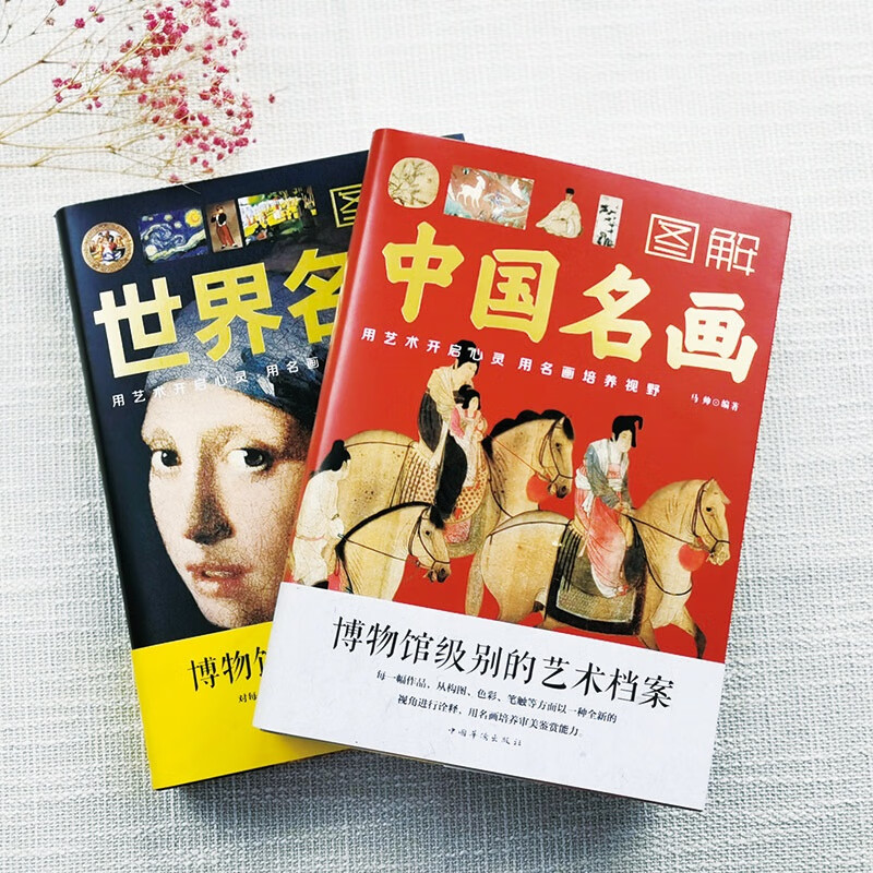 全2册图解世界名画+中国名画书籍彩图版 梵高蒙娜丽莎的微笑 世界绘画史画集珍藏版媲美温迪嬷嬷讲述1000幅中