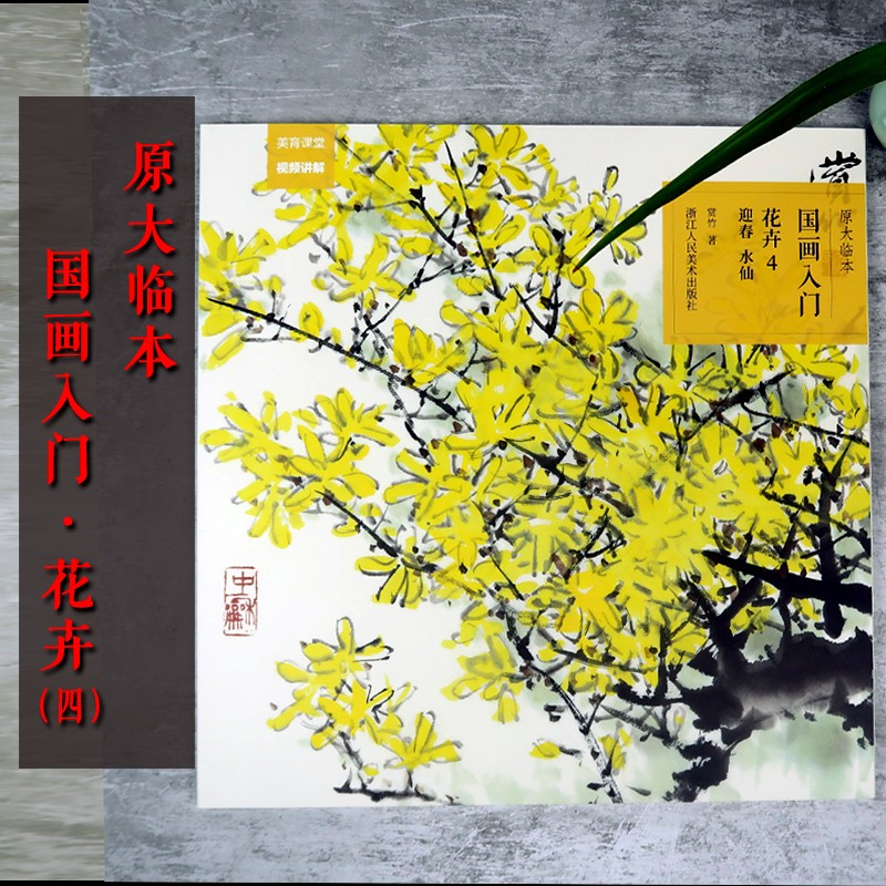 国画入门(花卉4 迎春水仙) 原大原色临本初学者国画入门视频基础教程