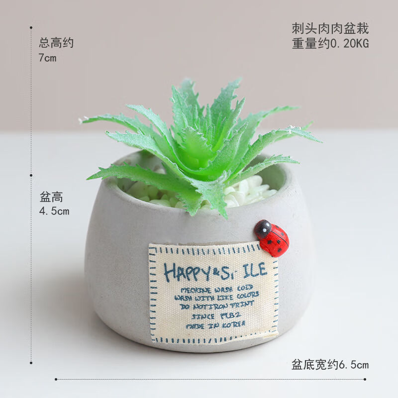花安家in风仿真多肉盆栽小摆件客厅室内桌面装饰迷你假绿植物 刺头