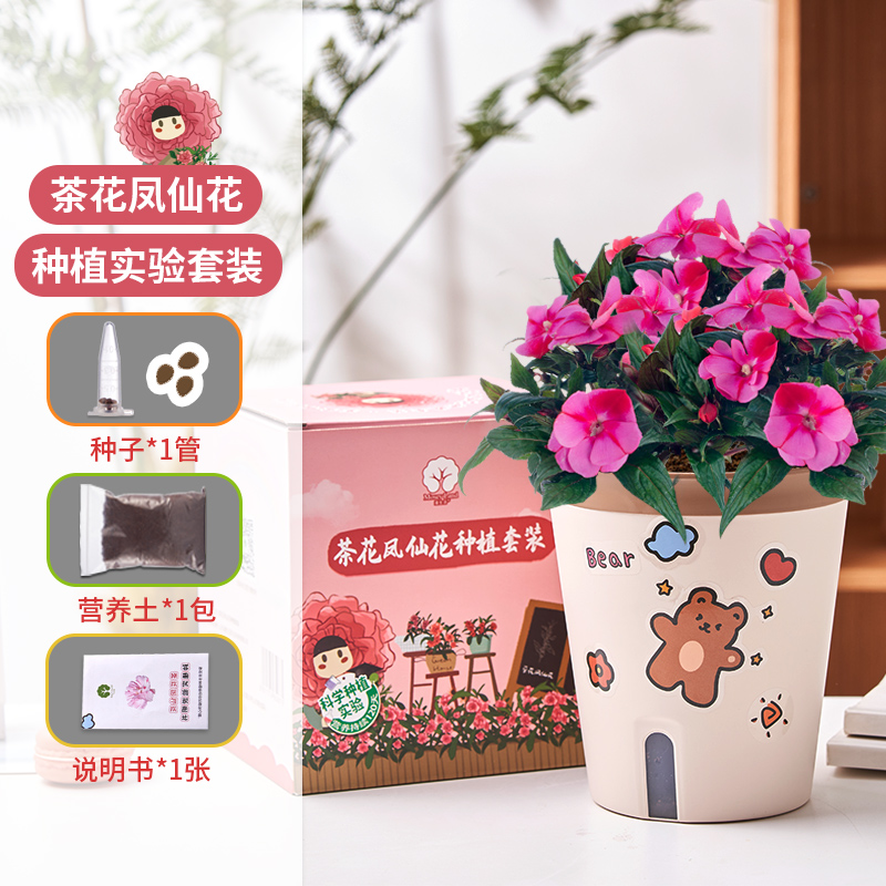怎么查看京东蔬菜类历史价格|蔬菜类价格走势图