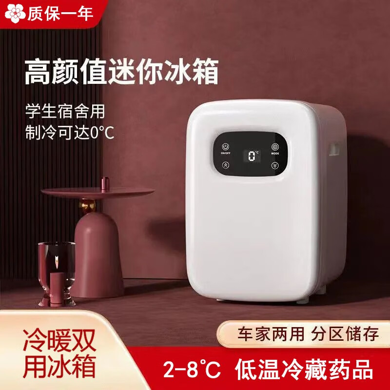 迷你小冰箱一人家用宿舍租房便携车载冰箱小型冰柜胰岛素冷藏盒 5升