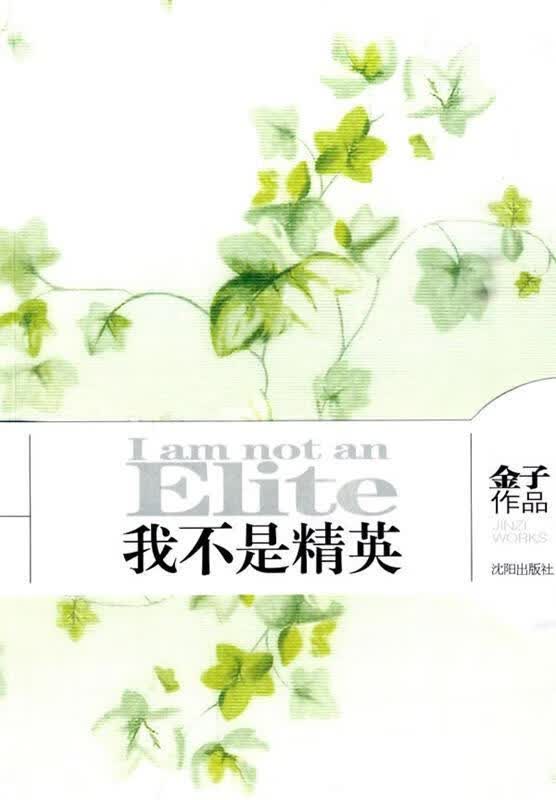 我不是精英 金子 著【正版书】