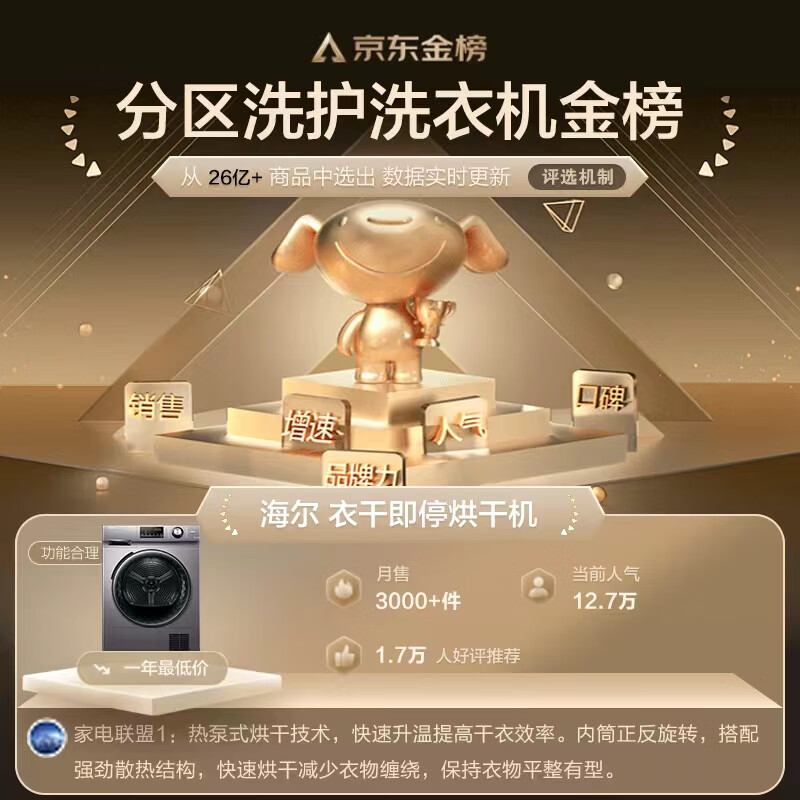 海尔（Haier）热泵烘干机家用干衣机除菌家用 10KG滚筒式 正反转匀烘 衣干即停 免熨烫烘衣机 GBN100-636