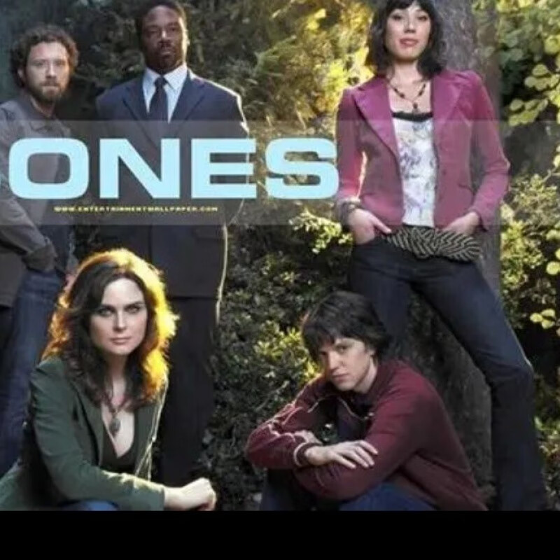 美剧识骨寻踪1-12季mp4高清u盘悬疑烧脑美剧优盘中英字幕u盘 美剧识骨