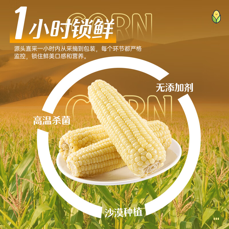 风水梁沙漠甜糯玉米 6支 4支装粗粮 熟食 4支装