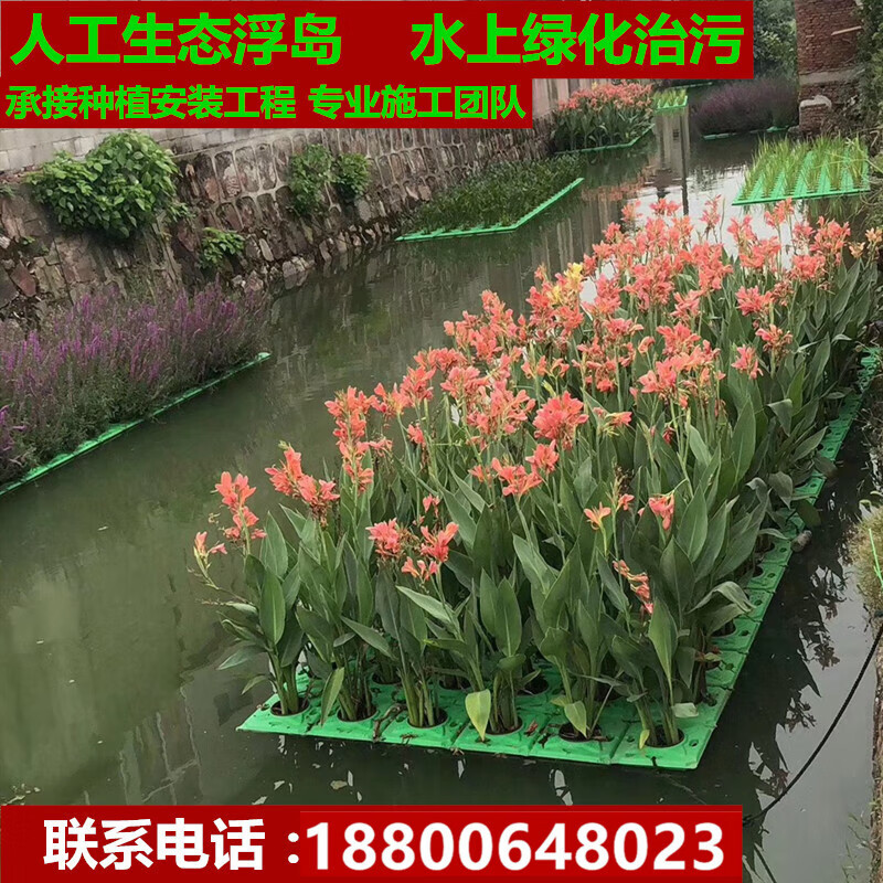 花幽谷人工生态浮岛水生植物种植生态浮床河道水上景观绿化浮板改