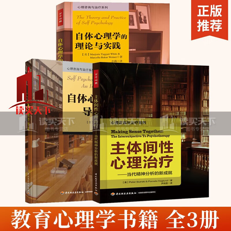 自体心理学的理论与实践+自体心理学导论+