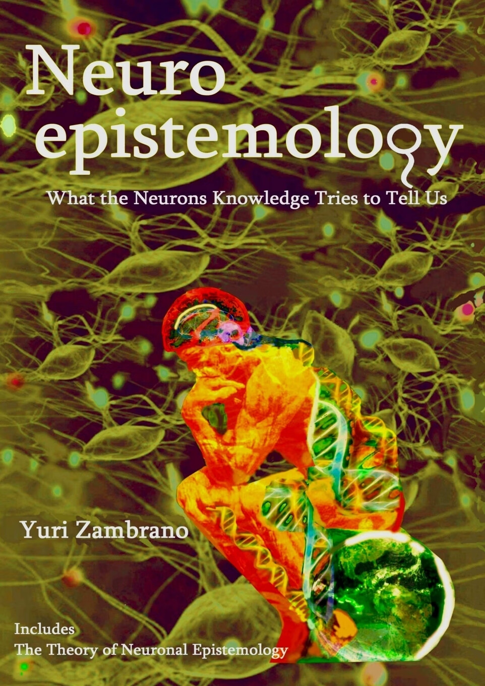 【预售 按需印刷】neuroepistemology