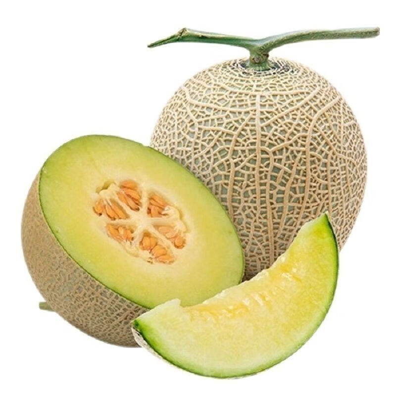 帆儿庄园现摘玫珑蜜瓜网纹蜜瓜甜瓜香瓜孕妇水果 一个装(试吃)不建议