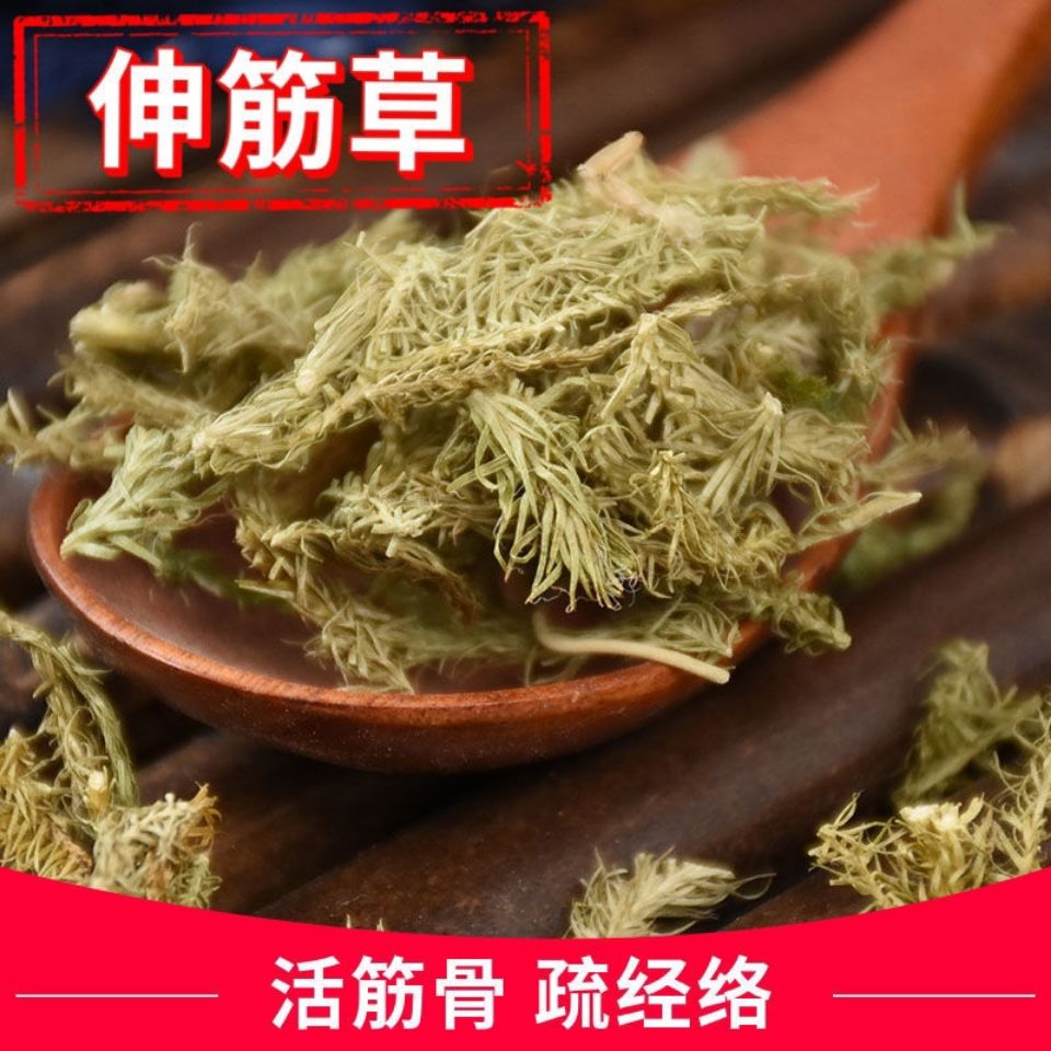 内廷上用高原伸筋草 石松 舒筋草 抽筋草 野生草草药材新鲜现摘 100克