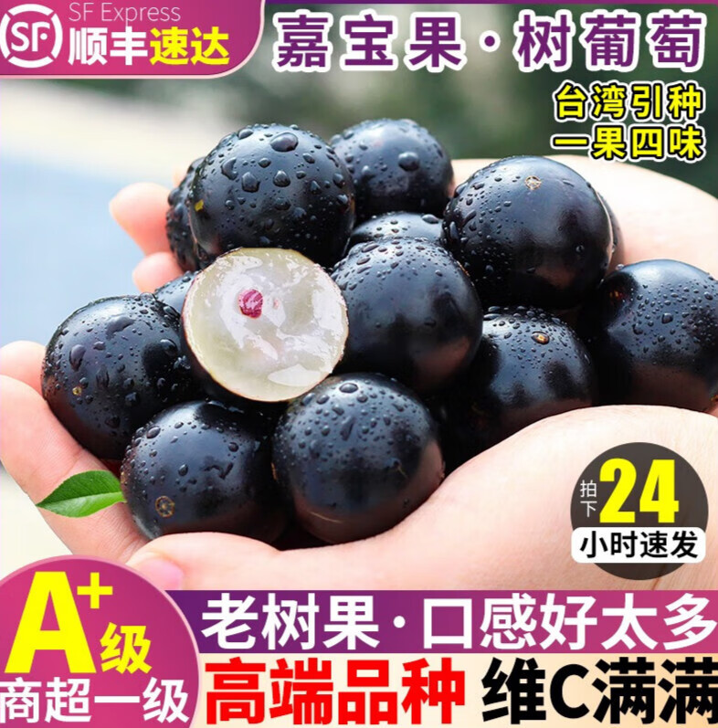 查询更多水果低价软件|更多水果价格比较