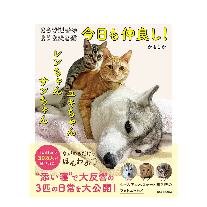 【现货】亲密无间的猫咪与狗狗写真集 まるで亲子のような犬と猫も