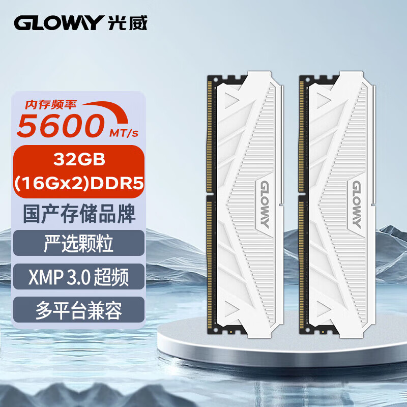 光威（Gloway）DDR5 4800/5200 台式机内存条 天策系列-皓月白 天策 5600 16GBx2