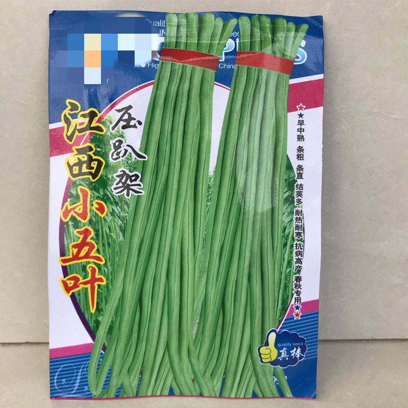 苏购豇豆种子江西小五叶豇豆种子菜园易种蔬菜种子早熟长豆角种子一包