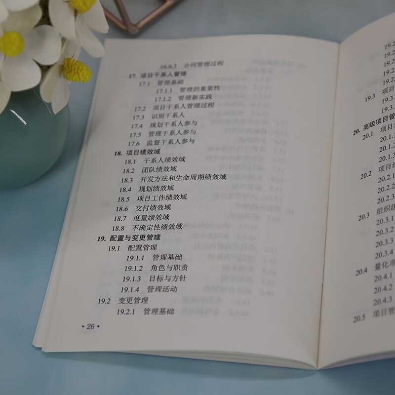 软考教程 信息系统项目管理师考试大纲（全国计算机技术与软件专业技术资格（水平）考试指定用书）详情图