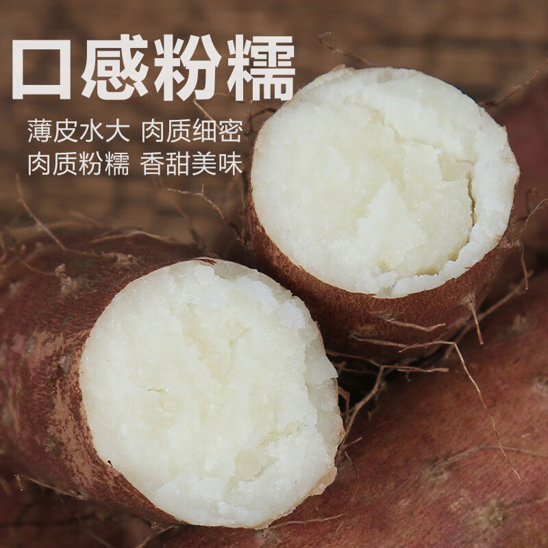 译优农【顺丰】河南焦作温县垆土铁棍山药新鲜铁杆怀山滋补特产粉糯淮山 5斤 垆土铁棍精选50-60cm