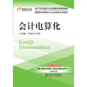 会计电算化