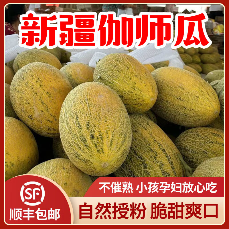 伽师瓜原产地直发应季水果新鲜水果 8斤 伽师瓜86王(8-10斤共2个瓜)