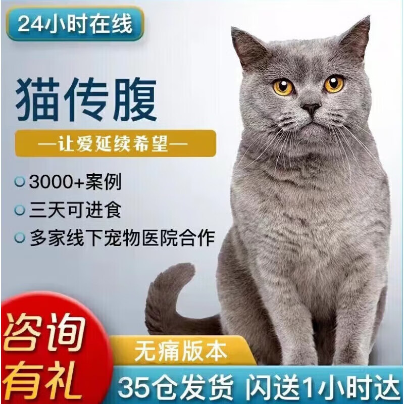 【顺丰空运 现货速发】441猫腹传针剂猫喵传腹水针液剂猫干性湿性猫腹水gs441524针剂喵传腹 6ml低痛版(20%浓度)*1瓶属于什么档次？