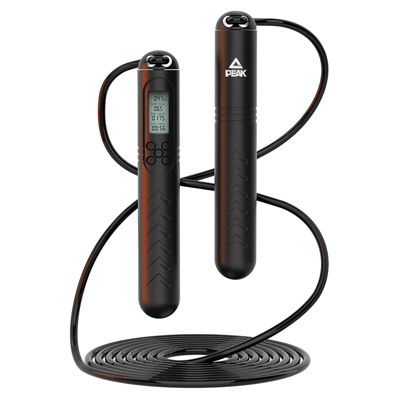 ƥ�� ���ܼ������� �������˾��ټ����˶� Сѧ���п�ר�� ȼ֬���� 21.5Ԫ