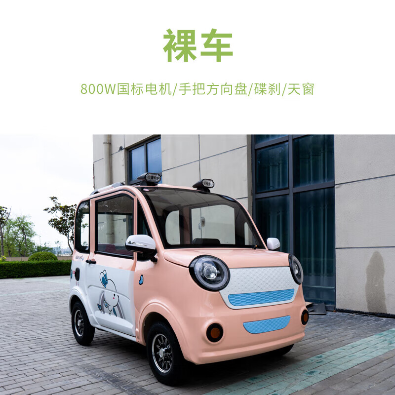 runtema新能源电动四轮车女士小型家用汽车成人油电4轮上班代步车电瓶