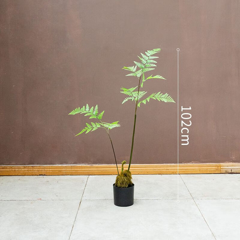 掬涵仿真大型蕨叶树金丝猴蕨绿植盆景客厅室内橱窗装饰品植物摆件