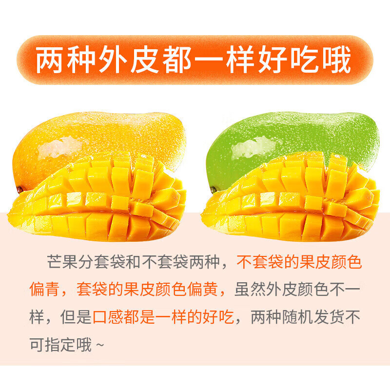 海南金煌芒9斤芒果热带水果现摘甜心黄皮水仙芒整箱 9斤品质装【单果300g+】