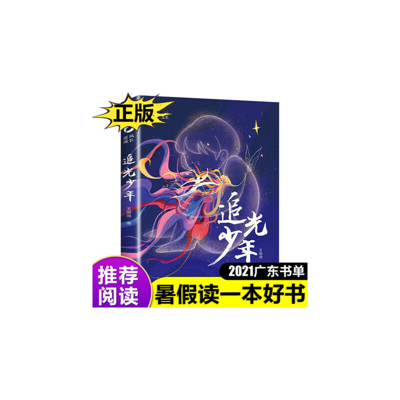 追光少年 王璐琪著2021年级暑假读一本