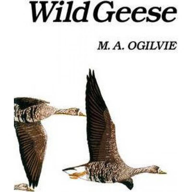 预订 wild geese