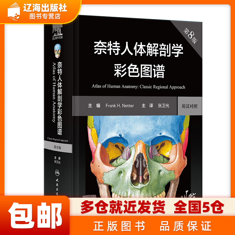 奈特人体解剖学彩色图谱 第8版