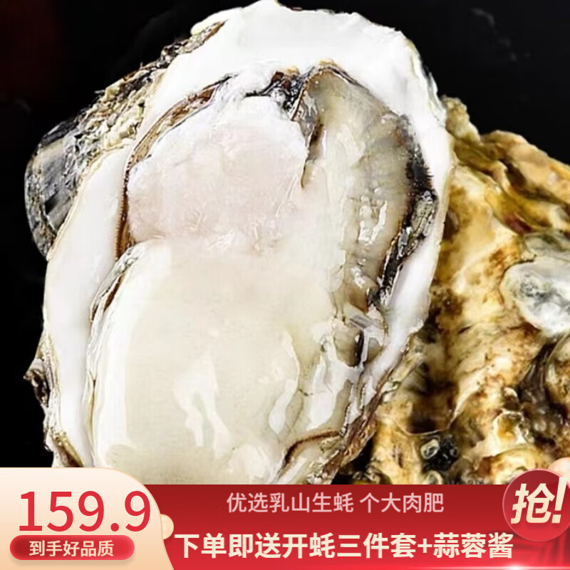 贝类能查历史价格吗|贝类价格走势图
