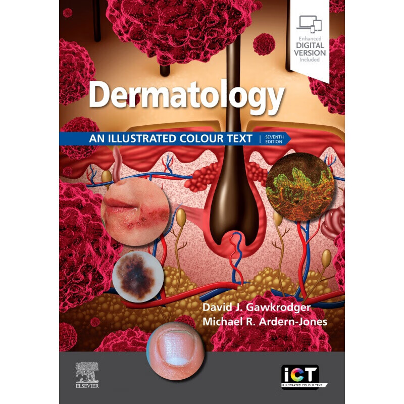 现货dermatology皮肤病学