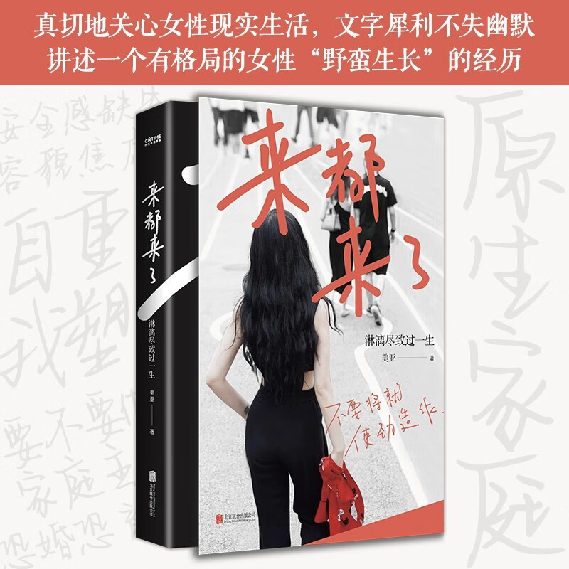 来都来了淋漓尽致过一生 美亚全新随笔集 女性现实生活话题女性励志读物 激励励志成长随笔散文治愈系读物 女性婚恋爱情情感心理容貌安全感缺失解读 女性独立强大自我治愈自我完善重塑自我正能量读物